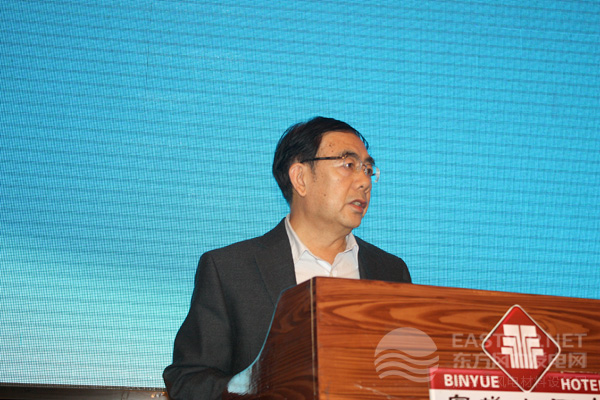 全國風(fēng)力機(jī)械標(biāo)準(zhǔn)化技術(shù)委員會王建平秘書長