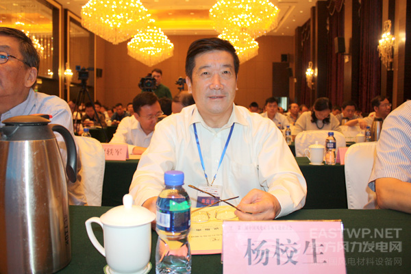 中國農(nóng)機(jī)工業(yè)協(xié)會風(fēng)能設(shè)備分會楊校生理事長、