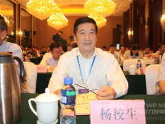 中國(guó)農(nóng)機(jī)工業(yè)協(xié)會(huì)風(fēng)能設(shè)備分會(huì)楊校生理事長(zhǎng)、