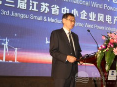 江蘇省經(jīng)濟和信息化委員會經(jīng)濟合作兼產(chǎn)業(yè)合作處處長裔大陸