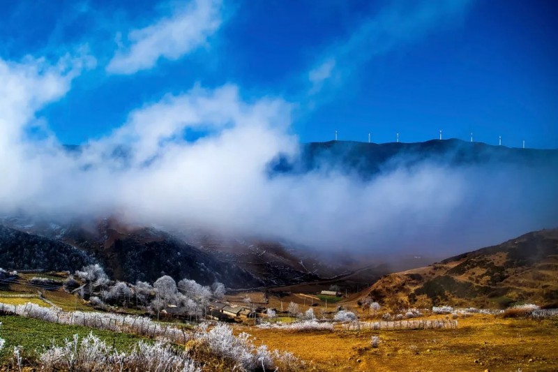 大涼山風(fēng)車之家（組圖）、上海廣播電視臺（退休）、張爭鳴