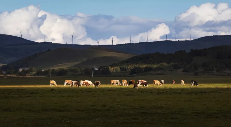 風(fēng)車下的光影、四川省廣安市前鋒區(qū)文廣電旅局、周修建
