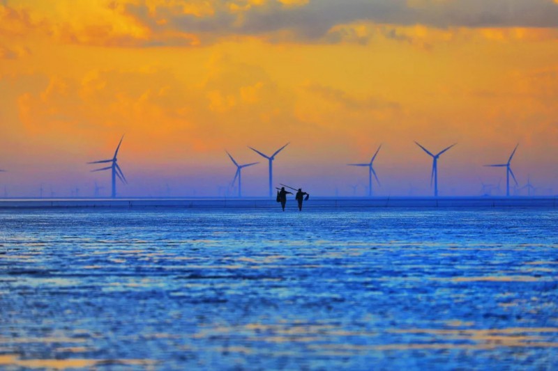 趕海、江蘇省鹽城市大豐區(qū)、董 溪