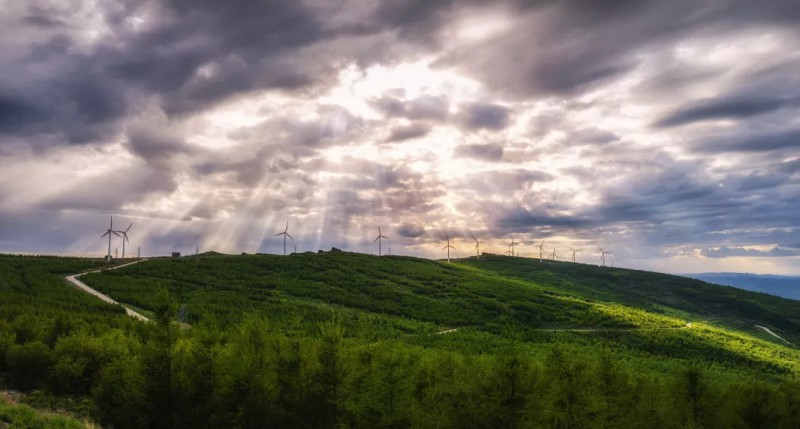 綠野圣光、北京美家客科技有限公司、蘇鑫宇