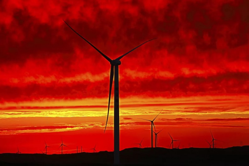 夕陽衛(wèi)士、新疆金風(fēng)科技股份有限公司、顧振軒