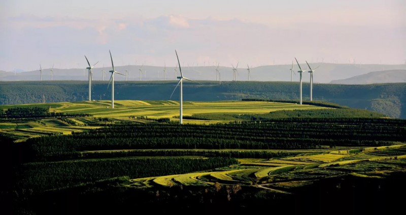 多姿多彩、國電華北電力有限公司、王迎春