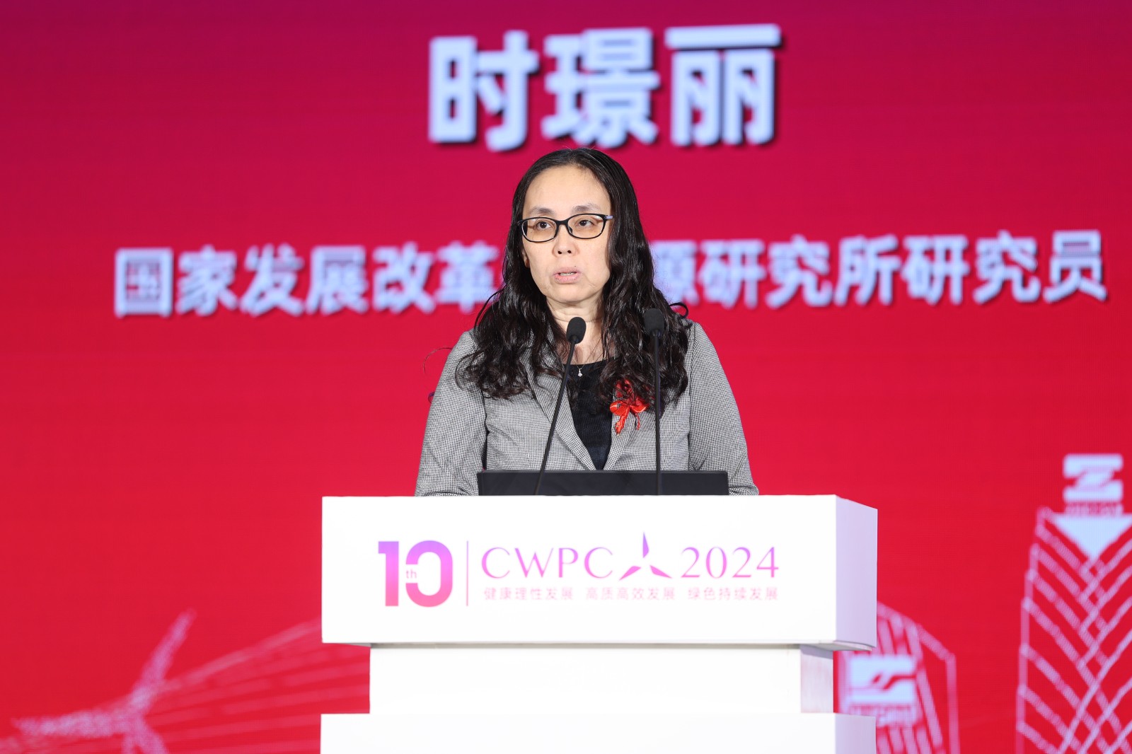 國家發(fā)展改革委能源研究所研究員時(shí)璟麗