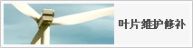 葉片維護(hù)修補圖片1