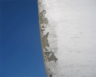 葉片表面涂層裂紋、脫