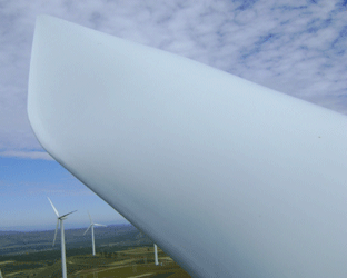 葉片清洗清潔服務(wù)